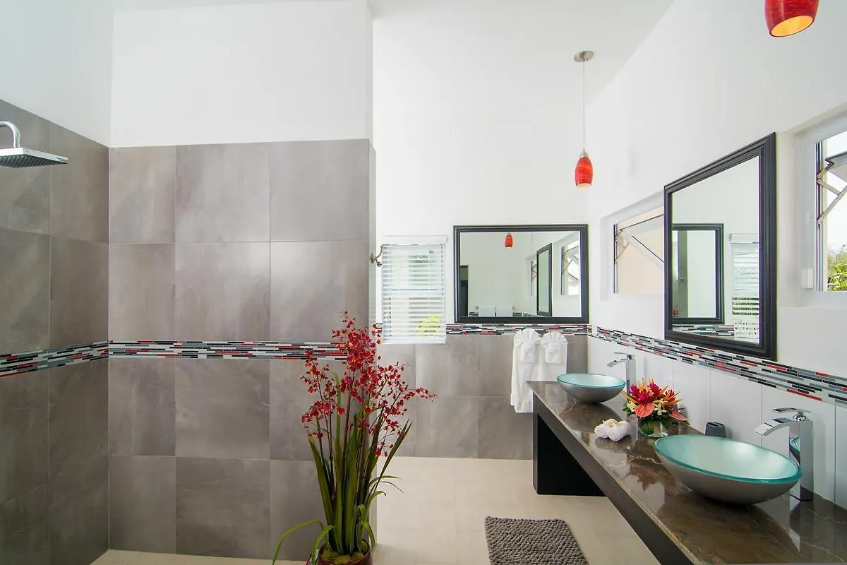 Dreamtime By The Sea Seven Bedroom Villa Montego Bay Jamaica